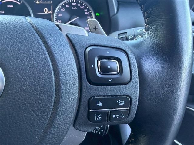 TOYOTA LEXUS NX300H 2020 Image 31