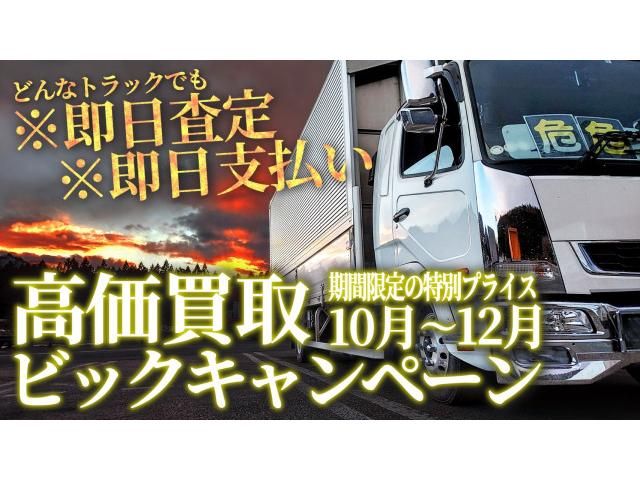 TOYOTA DYNA 2019 Image 31
