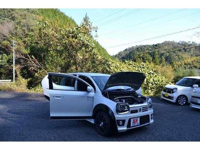 SUZUKI ALTO WORKS 2016 Image 31