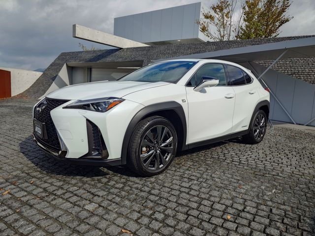 TOYOTA LEXUS UX250H 2019 Image 31