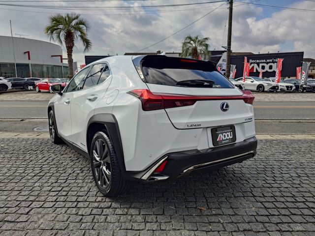 TOYOTA LEXUS UX250H 2019 Image 31
