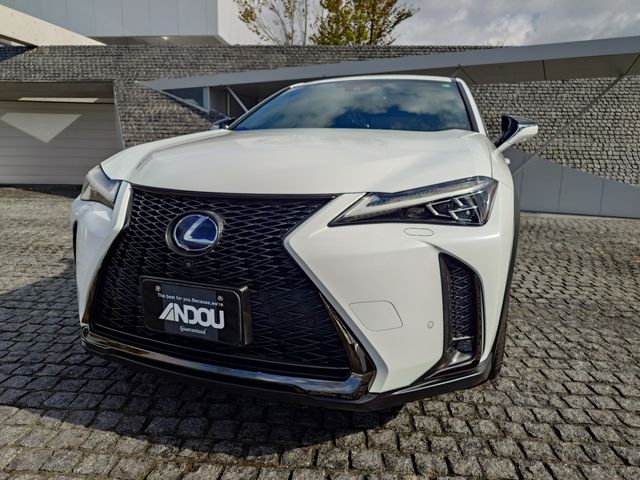 TOYOTA LEXUS UX250H 2019 Image 31