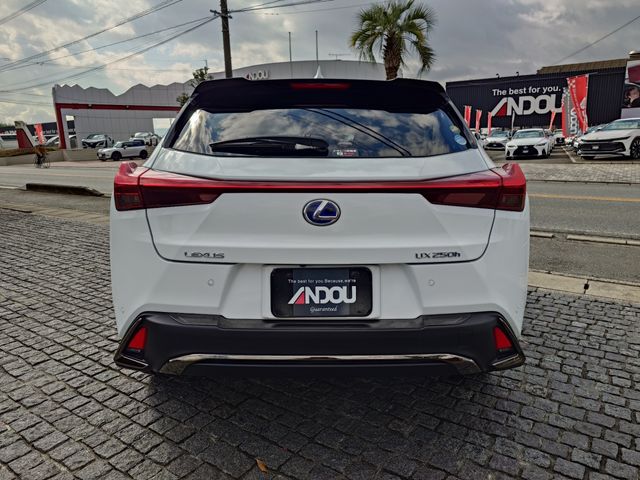 TOYOTA LEXUS UX250H 2019 Image 31