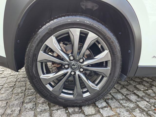 TOYOTA LEXUS UX250H 2019 Image 31