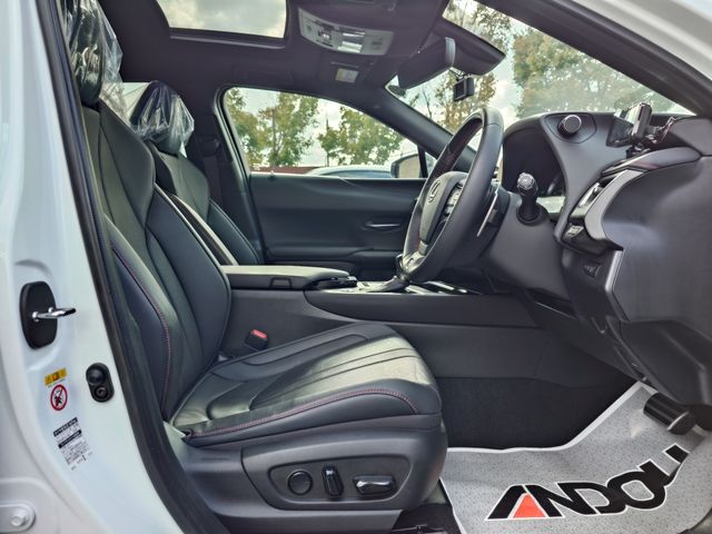 TOYOTA LEXUS UX250H 2019 Image 31