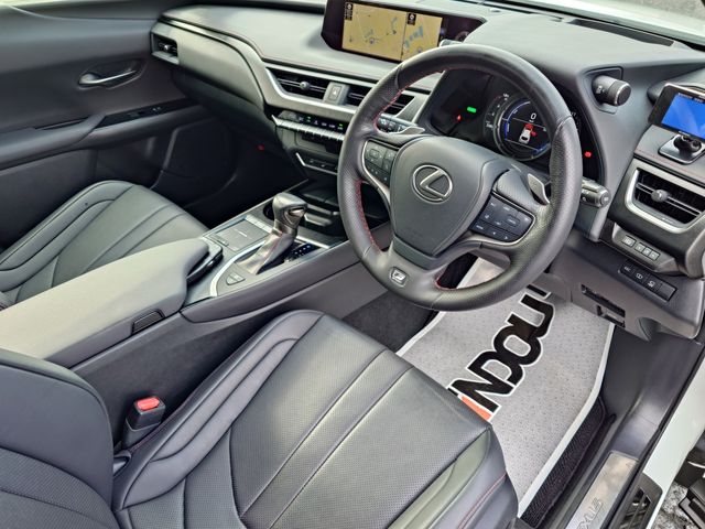 TOYOTA LEXUS UX250H 2019 Image 31