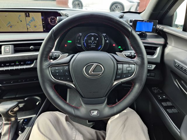 TOYOTA LEXUS UX250H 2019 Image 31