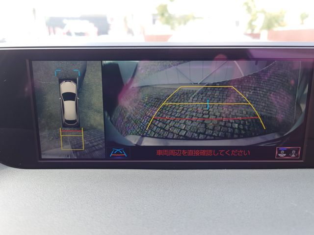 TOYOTA LEXUS UX250H 2019 Image 31