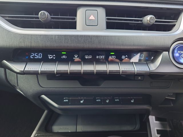 TOYOTA LEXUS UX250H 2019 Image 31