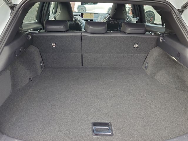 TOYOTA LEXUS UX250H 2019 Image 31