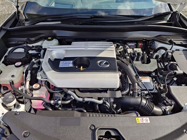 TOYOTA LEXUS UX250H 2019 Image 31