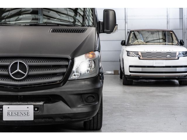 MERCEDES BENZ SPRINT 2016 Image 31