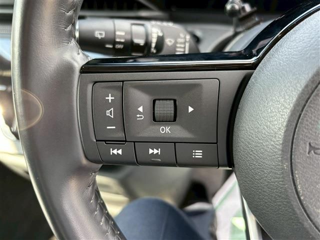 NISSAN SERENA  WG 2024 Image 31