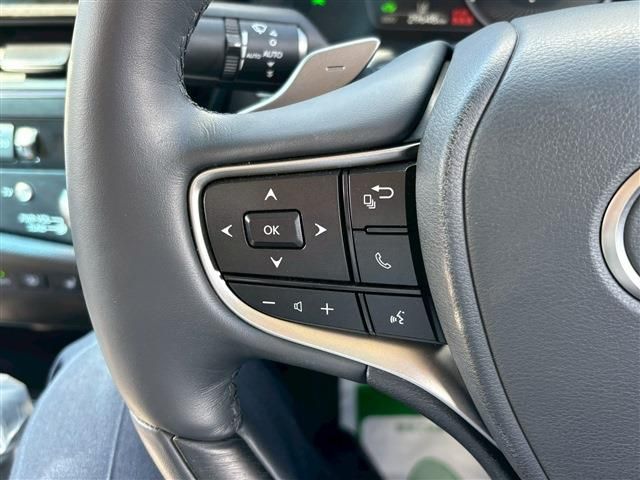 TOYOTA LEXUS ES300H 2023 Image 31