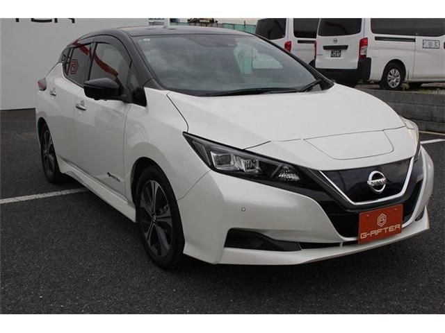 NISSAN LEAF 2019 Image 31