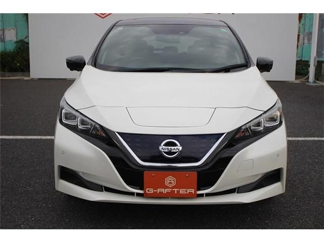 NISSAN LEAF 2019 Image 31