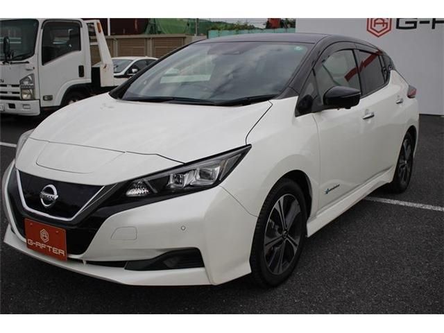 NISSAN LEAF 2019 Image 31