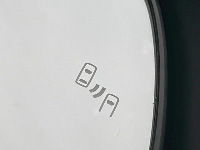 TOYOTA RAV4 4WD 2019 Image 31