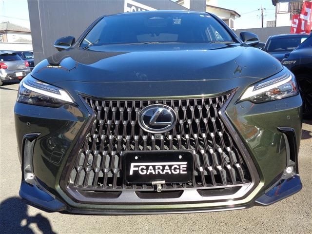 TOYOTA LEXUS NX450H+ AWD 2023 Image 31