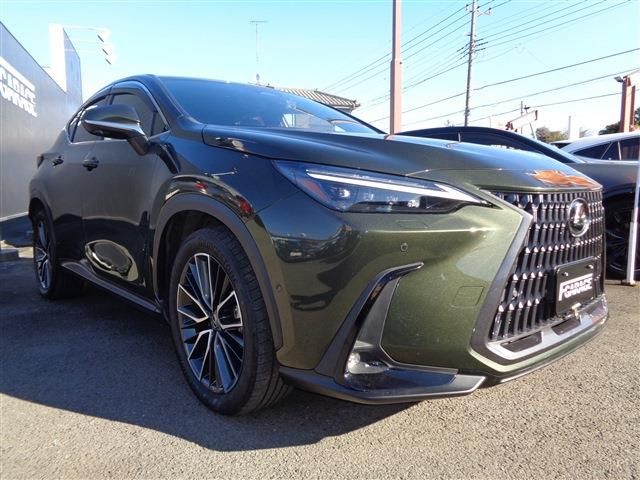 TOYOTA LEXUS NX450H+ AWD 2023 Image 31