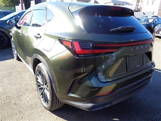 TOYOTA LEXUS NX450H+ AWD 2023 Image 31