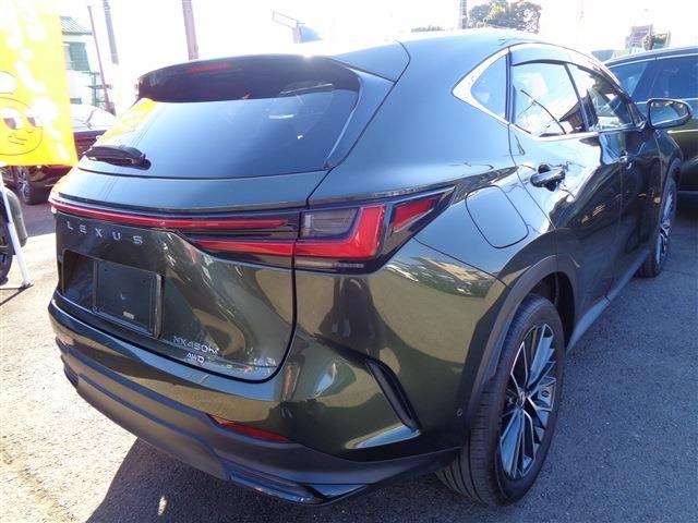 TOYOTA LEXUS NX450H+ AWD 2023 Image 31