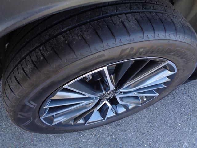 TOYOTA LEXUS NX450H+ AWD 2023 Image 31