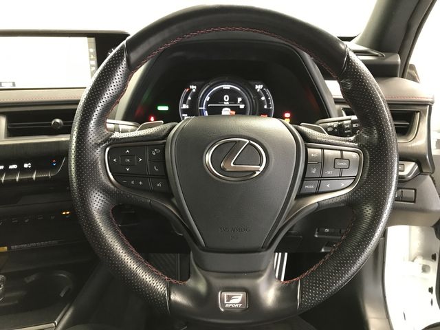 TOYOTA LEXUS UX250H 2019 Image 31