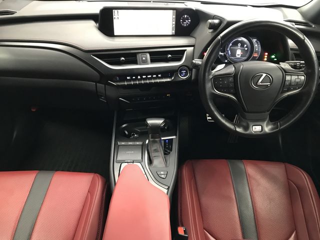 TOYOTA LEXUS UX250H 2019 Image 31