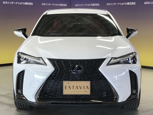 TOYOTA LEXUS UX250H 2019 Image 31