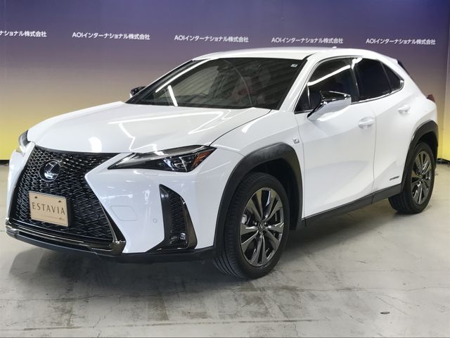 TOYOTA LEXUS UX250H 2019 Image 31
