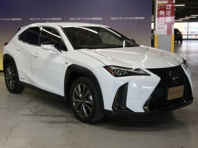TOYOTA LEXUS UX250H 2019 Image 31