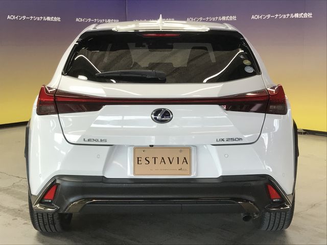 TOYOTA LEXUS UX250H 2019 Image 31