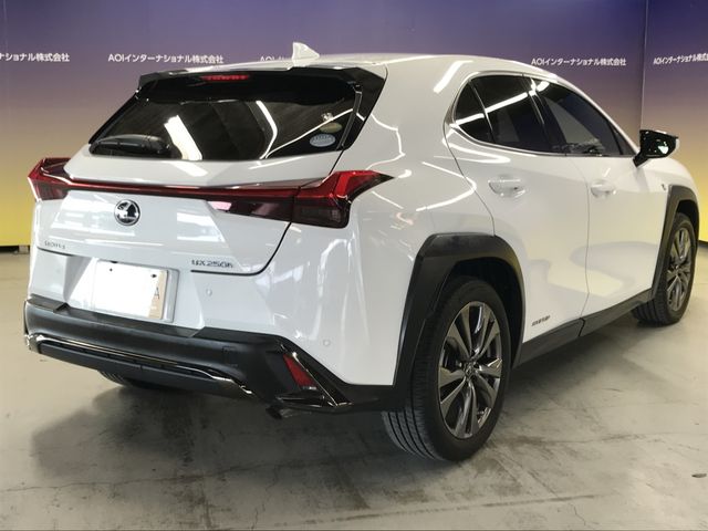 TOYOTA LEXUS UX250H 2019 Image 31