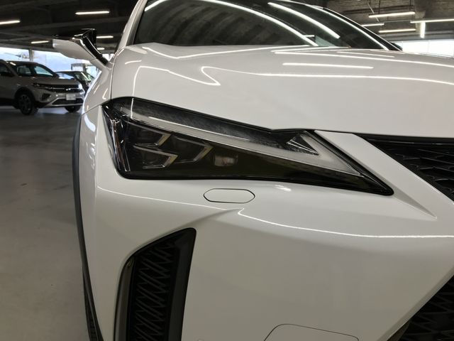 TOYOTA LEXUS UX250H 2019 Image 31