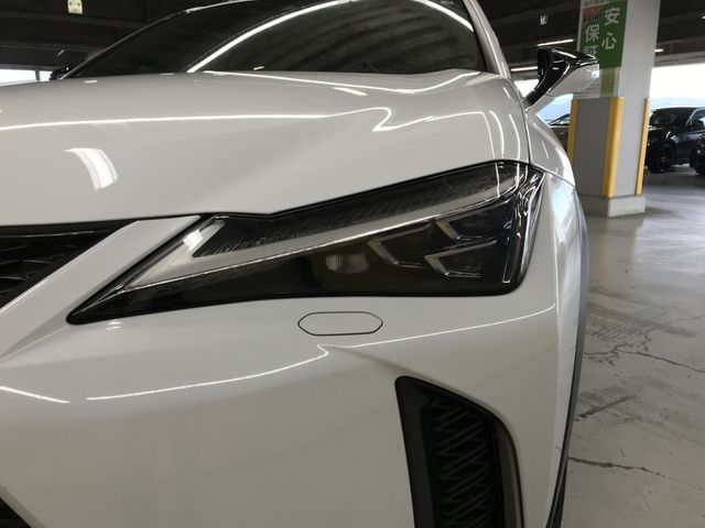 TOYOTA LEXUS UX250H 2019 Image 31