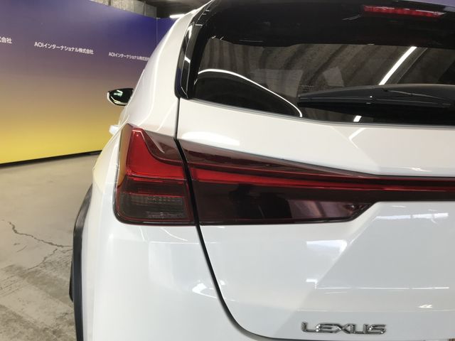 TOYOTA LEXUS UX250H 2019 Image 31