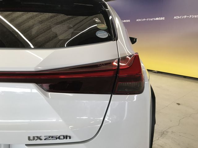 TOYOTA LEXUS UX250H 2019 Image 31
