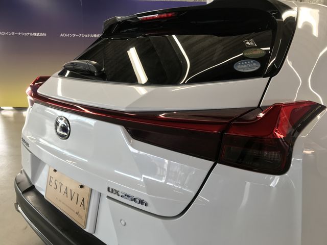 TOYOTA LEXUS UX250H 2019 Image 31