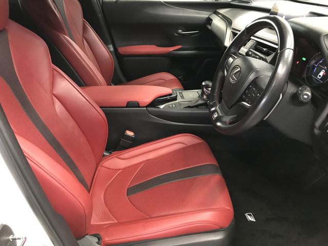 TOYOTA LEXUS UX250H 2019 Image 31