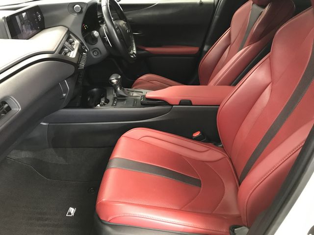 TOYOTA LEXUS UX250H 2019 Image 31