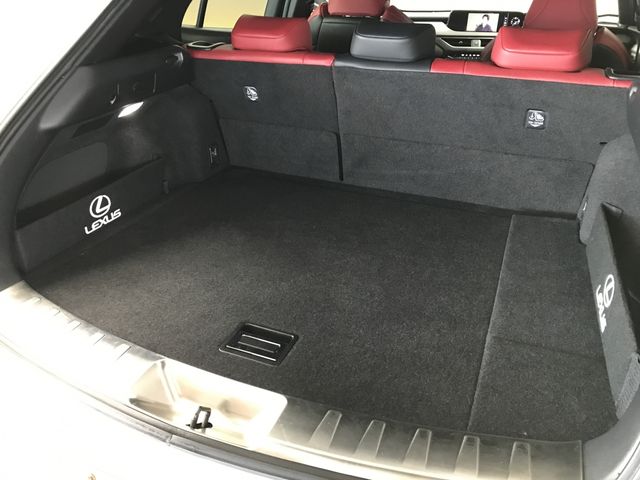 TOYOTA LEXUS UX250H 2019 Image 31