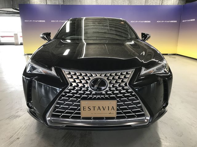 TOYOTA LEXUS UX250H 2023 Image 31
