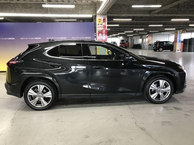 TOYOTA LEXUS UX250H 2023 Image 31