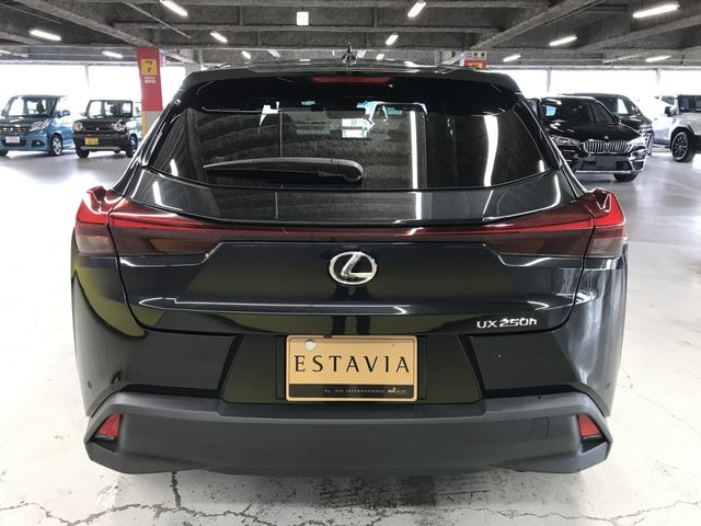 TOYOTA LEXUS UX250H 2023 Image 31