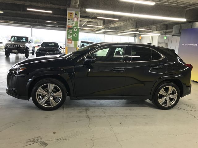 TOYOTA LEXUS UX250H 2023 Image 31