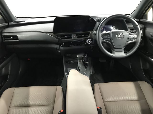 TOYOTA LEXUS UX250H 2023 Image 31