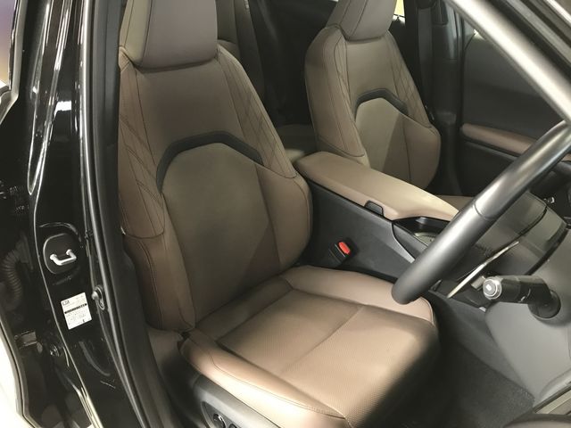 TOYOTA LEXUS UX250H 2023 Image 31