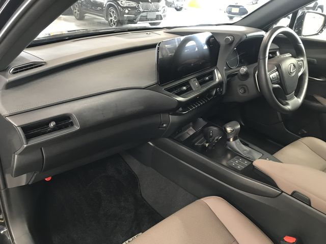 TOYOTA LEXUS UX250H 2023 Image 31