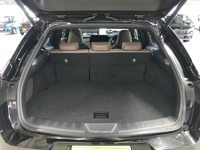 TOYOTA LEXUS UX250H 2023 Image 31